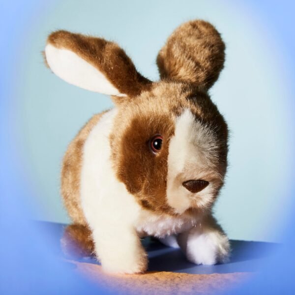 Happy Hopping Bunny - Image 6