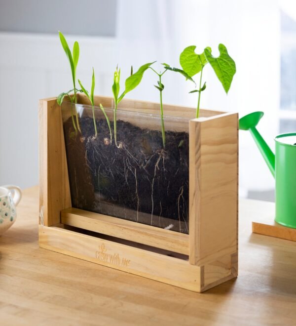 Root Viewer - Image 2