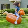 Inflatable Ride-On Hop 'n Go Horses - Image 11