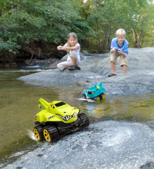 Biubiuvogue Remote Control Vehicle
