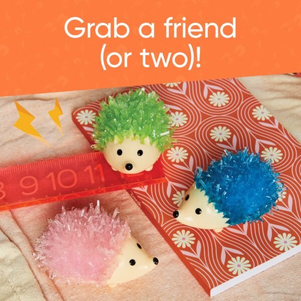 Grow Your Own Crystals Kit-Hedgehog - Image 5